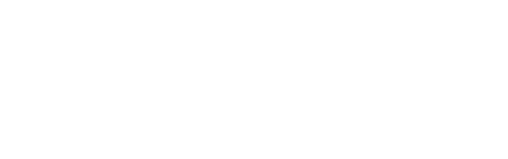 duo-logo